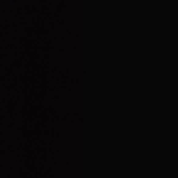 Meet your Posher, Rajkumarie - Picture 1 of 1